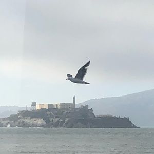 Meet your Posher, Tad